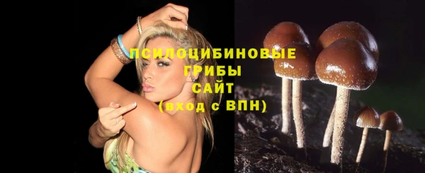 бошки Арсеньев