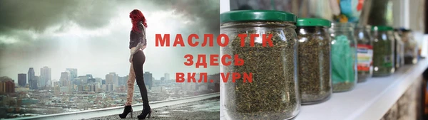 индика Армянск