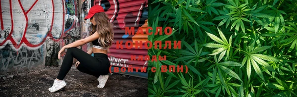 индика Армянск
