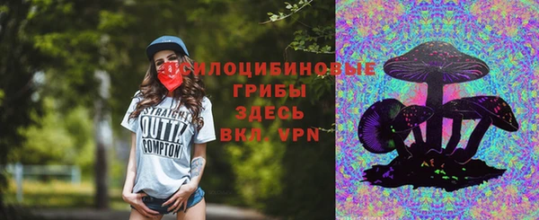 индика Армянск