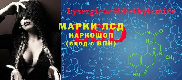 индика Армянск