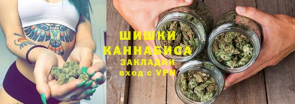крисы Аркадак