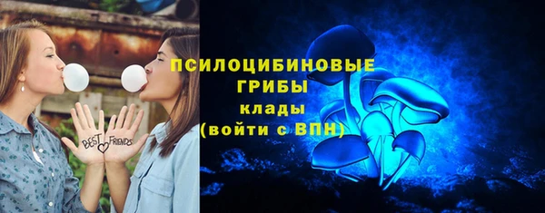 бошки Арсеньев