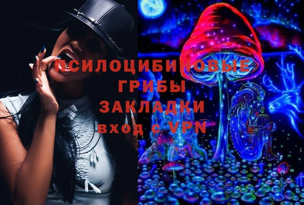 крисы Аркадак
