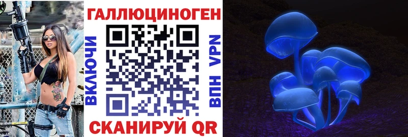 Псилоцибиновые грибы Psilocybine cubensis  Сатка 